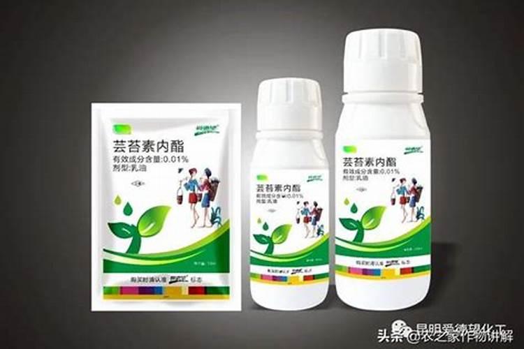 番茄苗用水溶肥后需要马上浇水吗