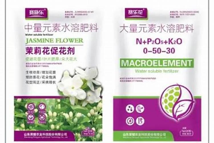 茉莉花夏天几天浇一次水