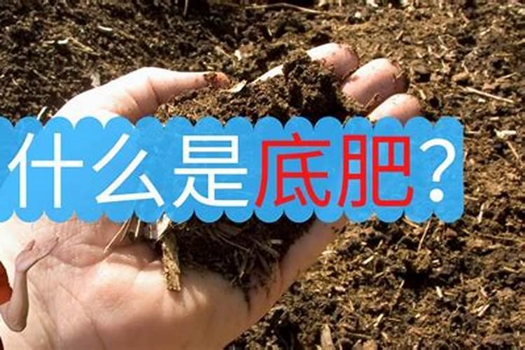 甜菜需要什么样钾肥