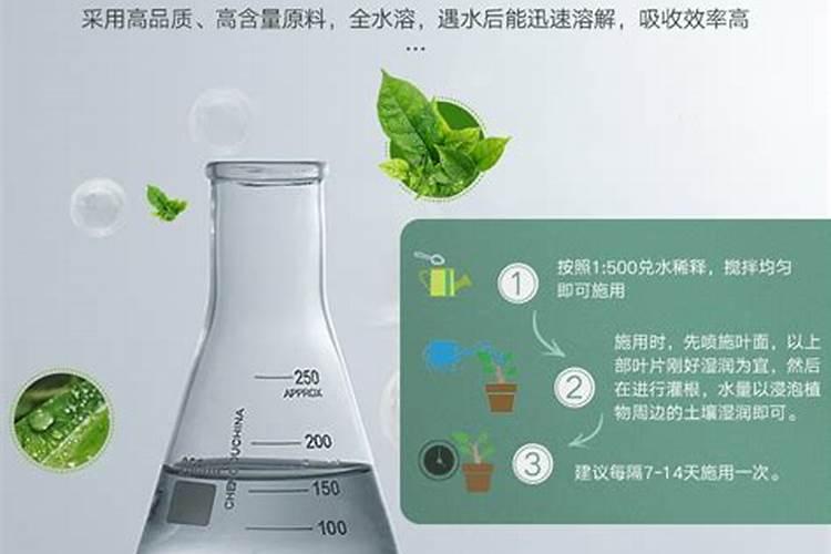 多肉施肥的4W 1H 1L法则:一步步教你如何给多肉施肥