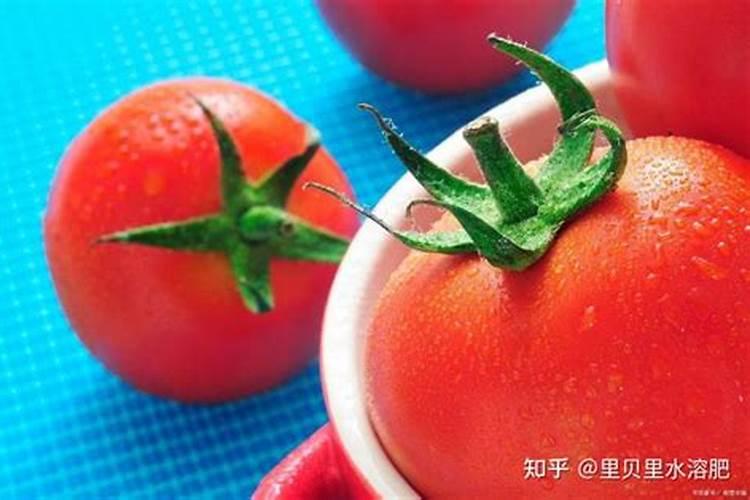 苹果树打哪几种农药