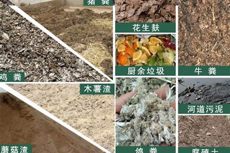 有机肥是指什么肥料,什么是有机肥料