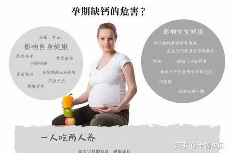 种白菜用什么底肥最好