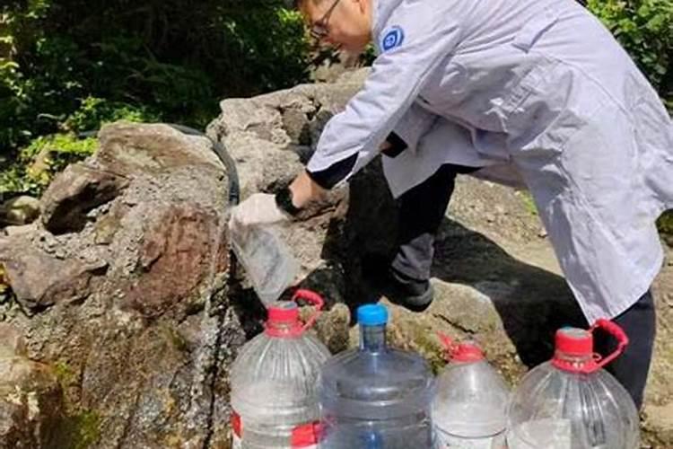 绿植返碱怎么办