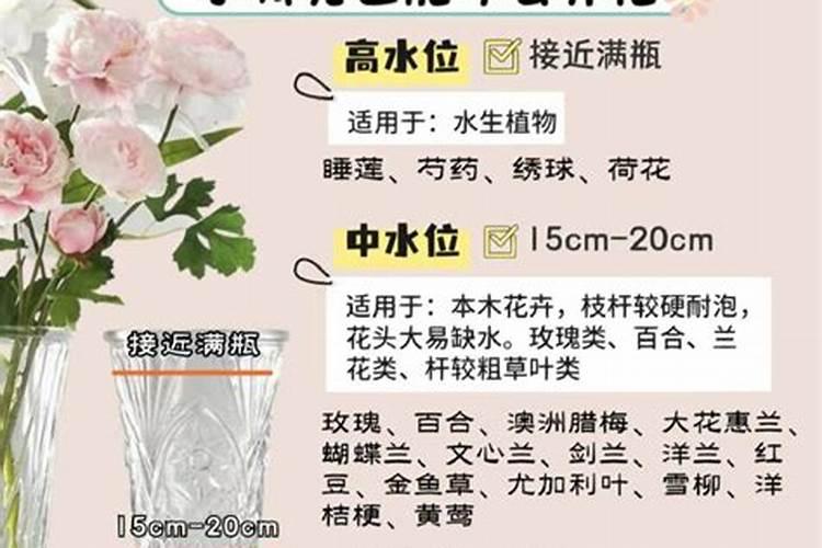 水溶肥滴灌用多大浓度