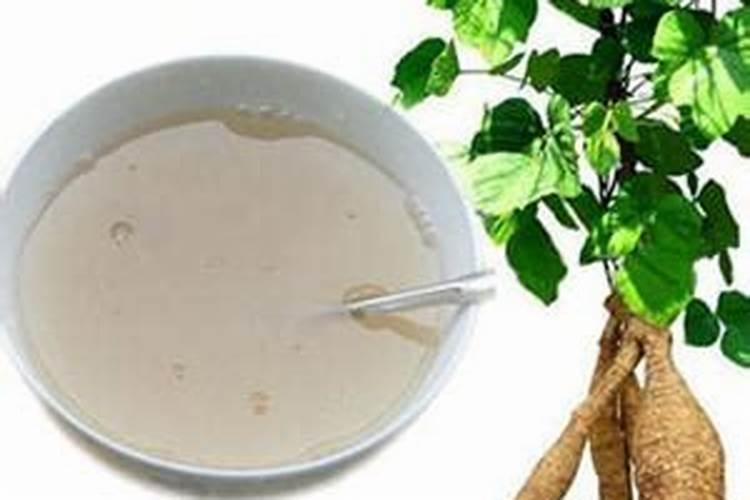 葛根种苗什么时间种植？葛根最新种植技术