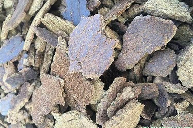 饼肥是什么意思