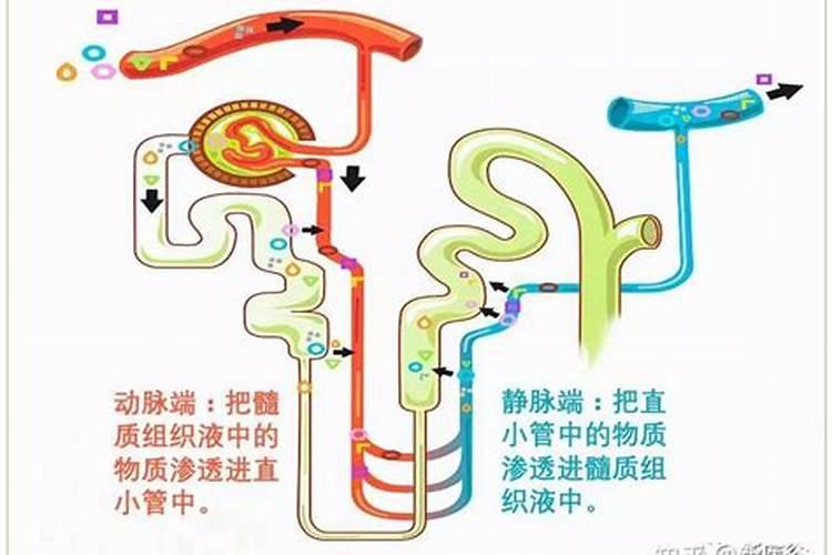 高氮水溶肥有什么效果,和尿素有什么区别
