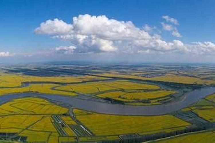 化肥氯化钾和硫酸钾哪个比较好？