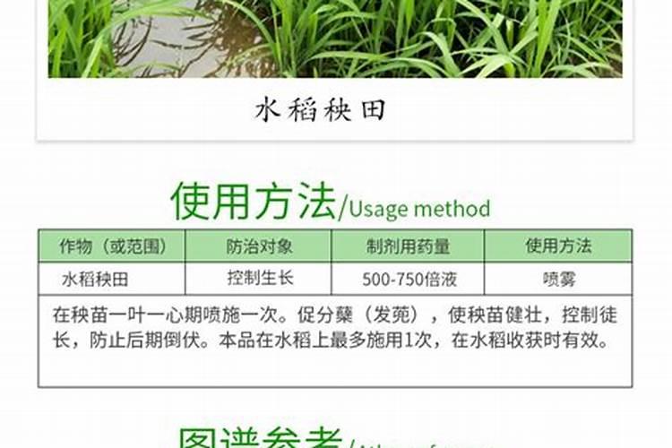 多效唑拌尿素可以施肥水稻吗