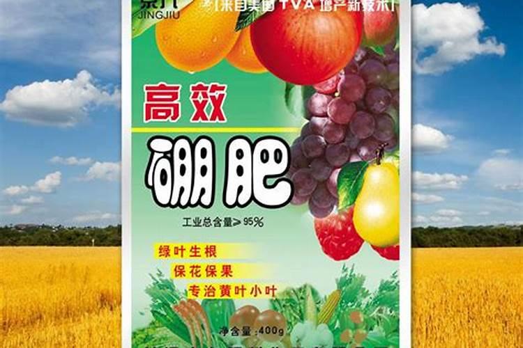 西瓜的增甜栽培西瓜增甜的十种方法