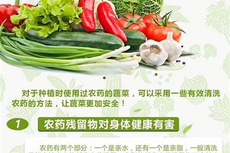 氮在蔬菜生长发育过程中起什么作用？