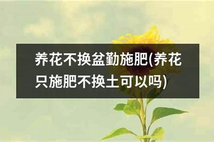 养花不换土可以吗