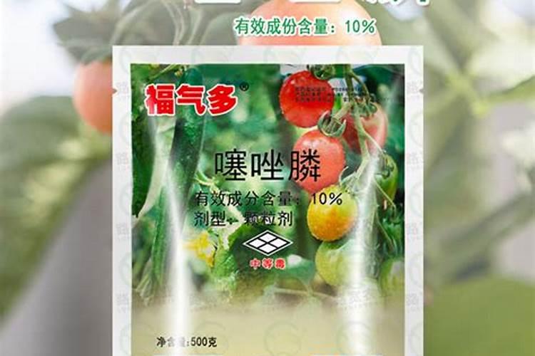 黄瓜刚定植有吉马怎么办？