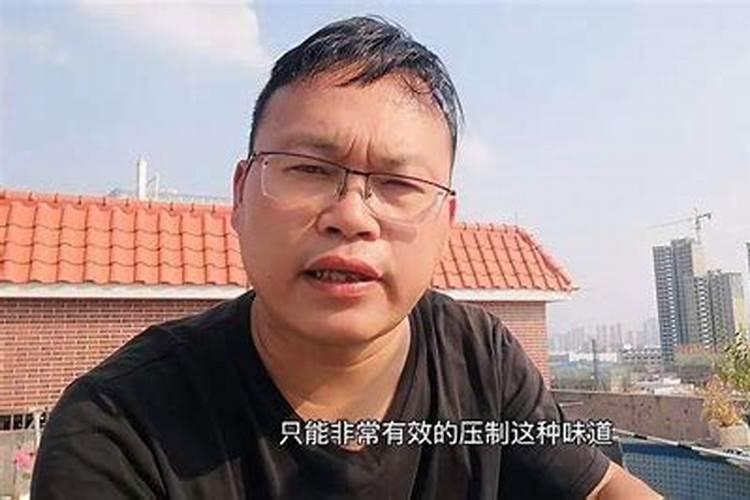 橘子皮泡水发酵后,算是通用肥还是氮肥？