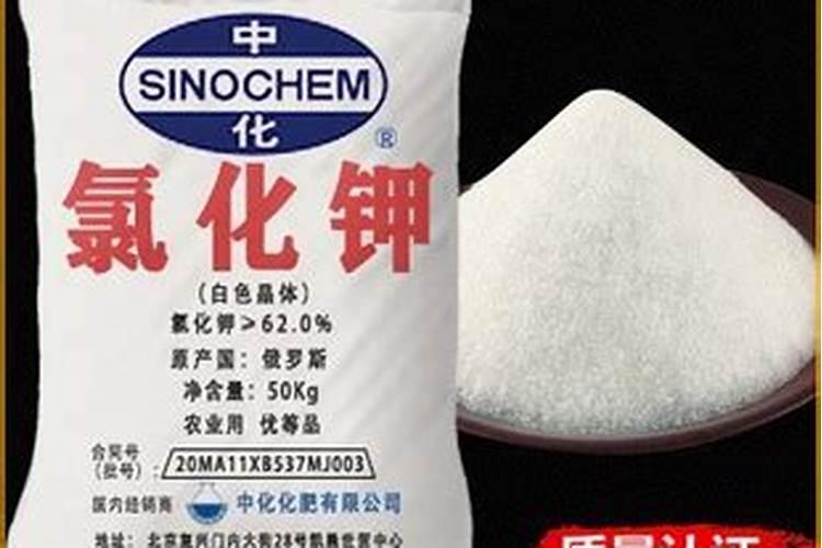地矿肥料怎么样