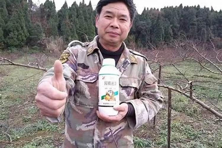 打完石硫合剂什么时间可以打磷酸二氢钾和其它的叶面肥？