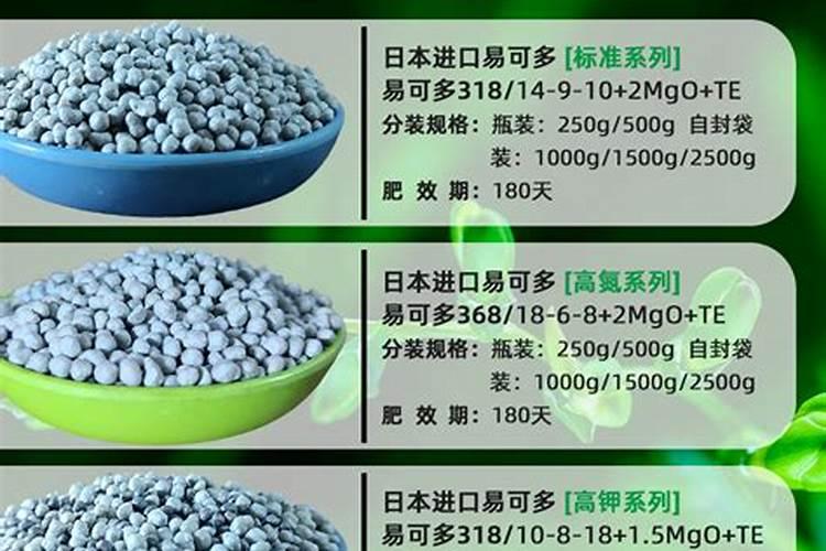 大棚内的黄瓜怎样进行浇水和施肥？