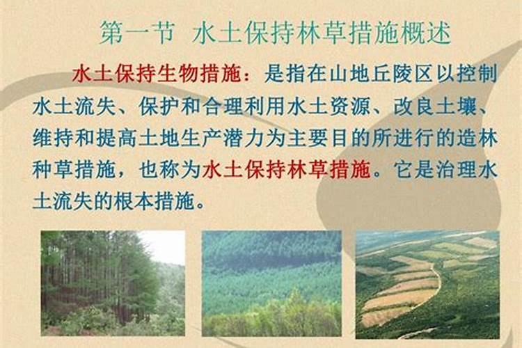三角梅需要什么肥料