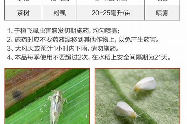 20个杀虫灭菌的农药配方,这样使用,药效翻倍,动动手指收藏吧