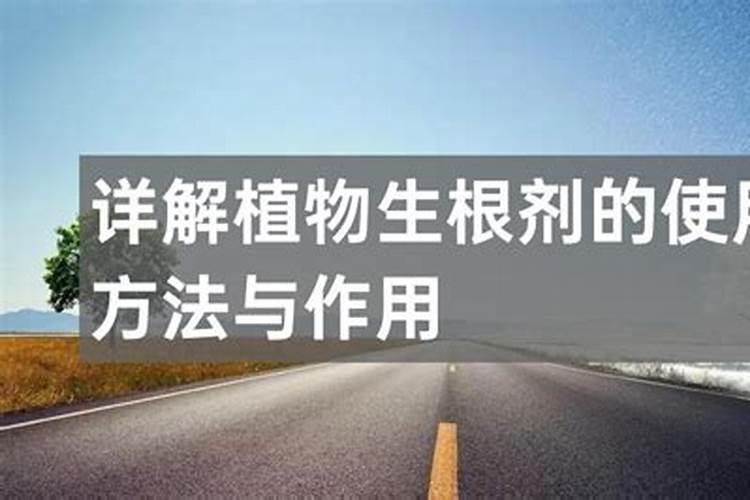 什么肥料能促长植物的根
