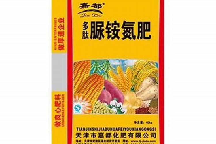杏树的怎么提高产量 施肥技巧总结