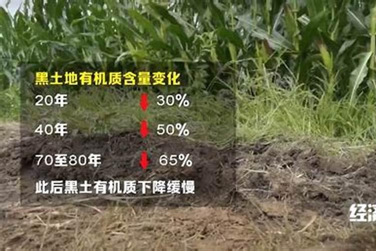 黑土拥有深厚的什么层次部分呢