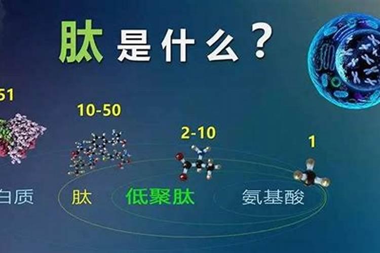 多肽尿素的功效与作用