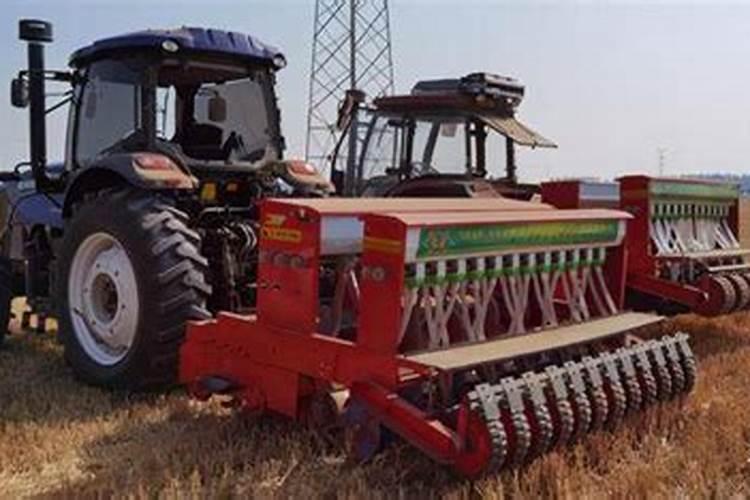 播种小麦学会8个技巧,出苗率高、苗齐苗壮,亩产1200斤不用愁