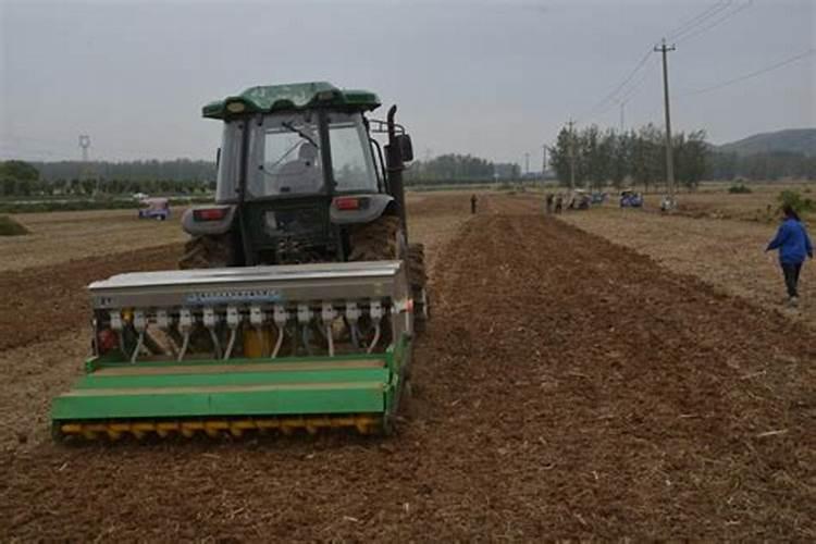 嘉施利25146掺混肥好不好