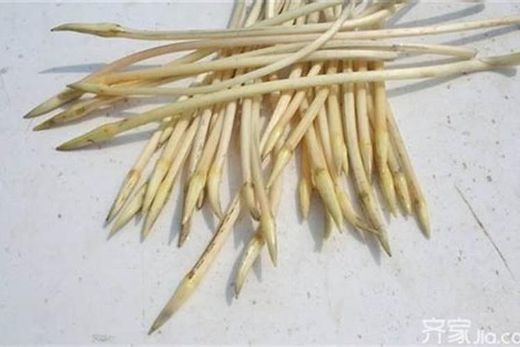 藕带种植施肥是磷肥好还是复合肥好