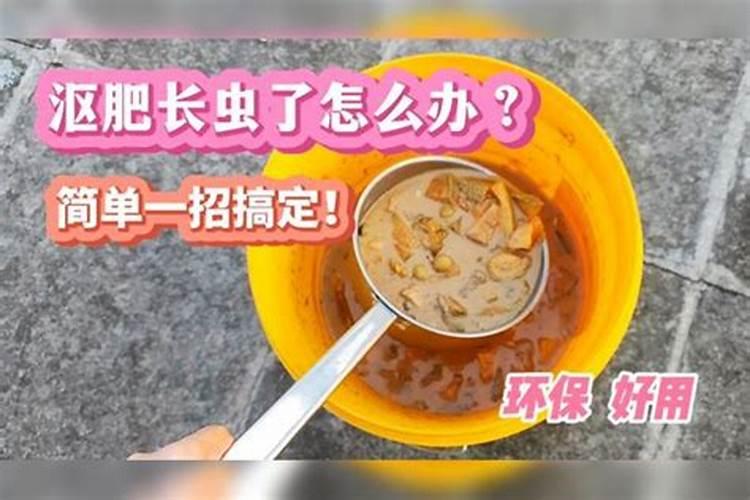 沤肥失败是什么样子