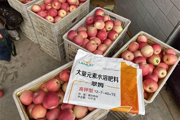 猪用浓缩饲料金骆驼8068好？还是800好？