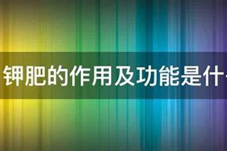 甜瓜底肥施什么肥好
