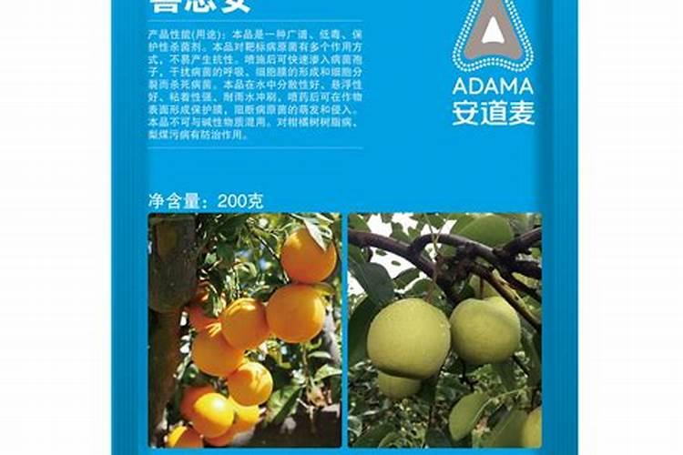 小番茄怎样种植