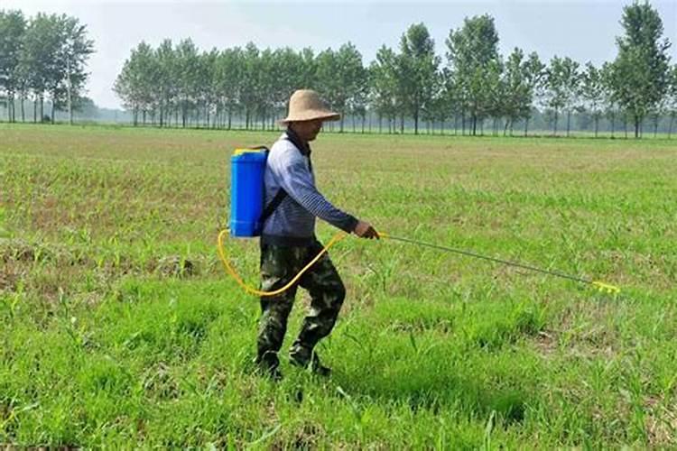 磷酸二氢钾和尿素、芸苔素内酯、硼肥如何搭配用？效果怎样啊？