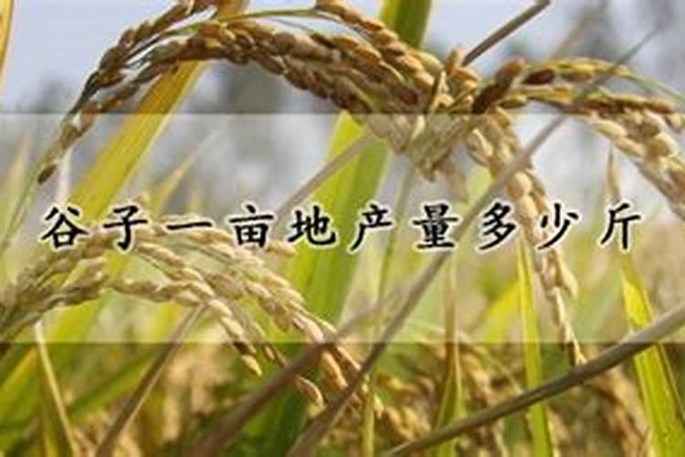 谷子用什么肥料的配比,每亩需要多少肥料