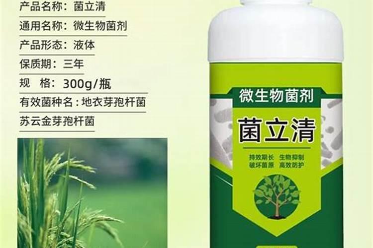 菌立清杀菌剂能防治哪些病