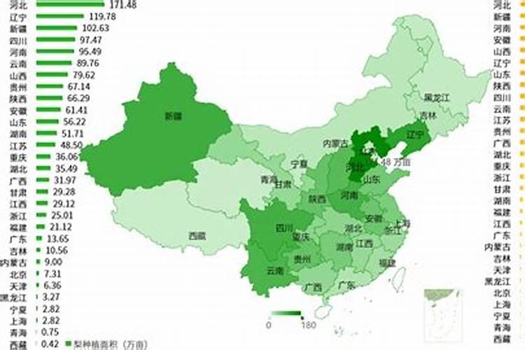 梨瓜的种植方法和时间,梨瓜的养护都有什么