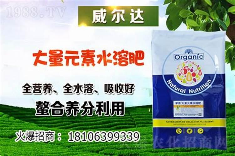 有机肥对果树有哪些效果