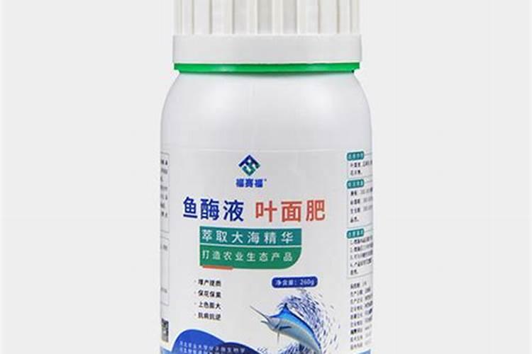 杨梅和海鲜能一起吃吗？吃杨梅可以吃海鲜吗？