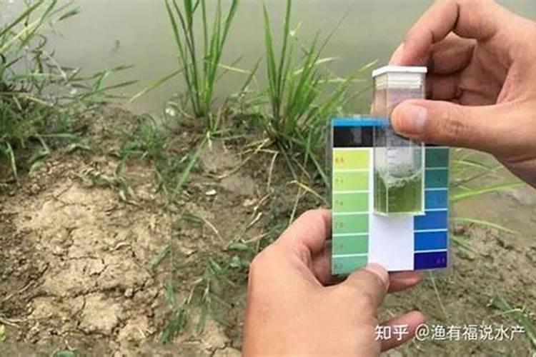 蓝藻爆发的原因和解决方法(简析蓝藻暴发成因和处理方法:让人见之心烦...