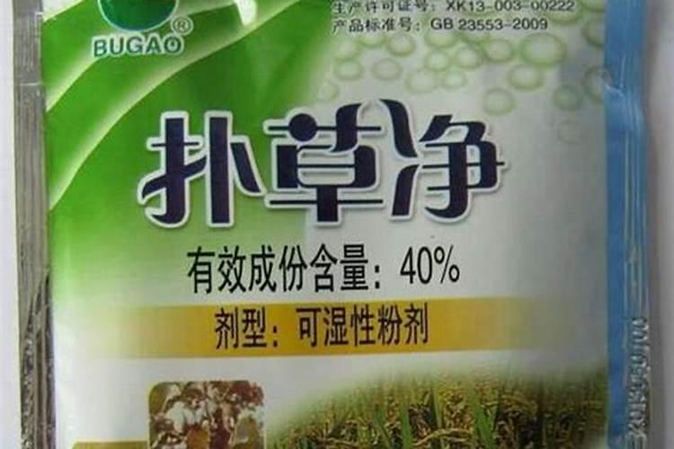 磷肥可以杀青苔吗