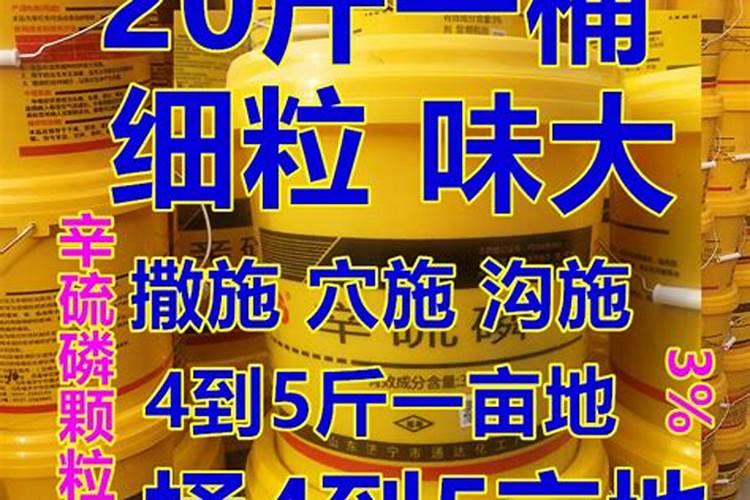 红薯为什么在地里就坏掉了怎么预防？