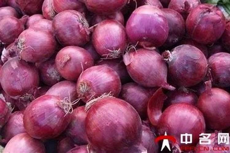 洋葱生产中常见问题探讨 洋葱养殖方法总结