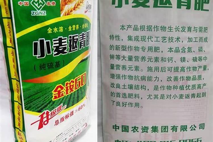 黄花菜落花是什么情况