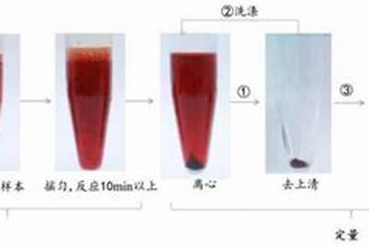 鱼胶有黑点是不是坏掉了