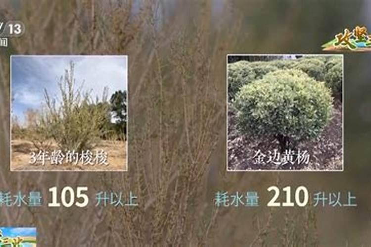 三年级科学,要改良贫瘠的土壤常用的方法有哪些