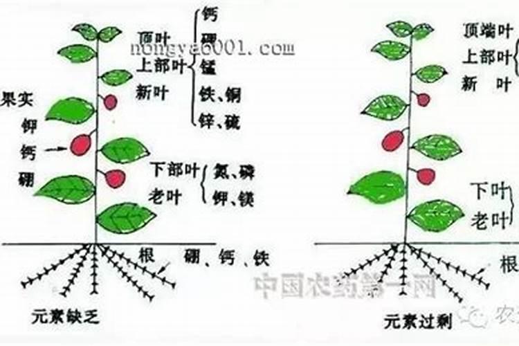 氯肥和氮肥可以放在一起吗