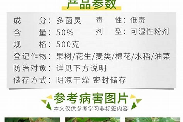 请问桃树的炭疽病的特效药？